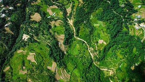 Landscape