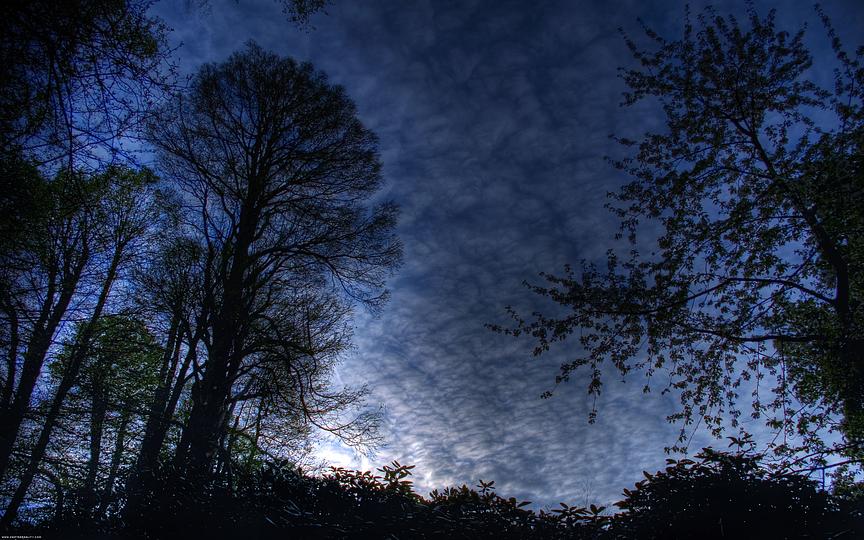 Blue Morning