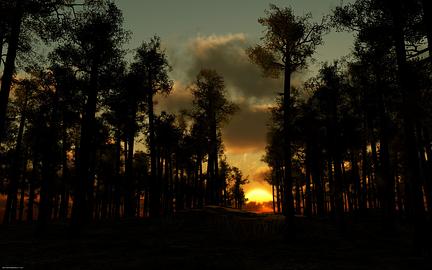 Night Falls