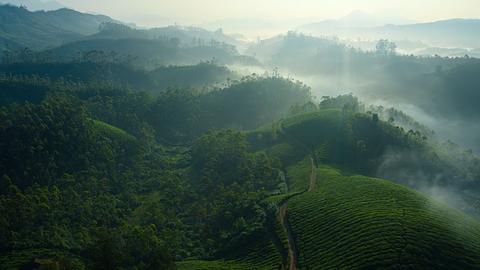 Misty mountains